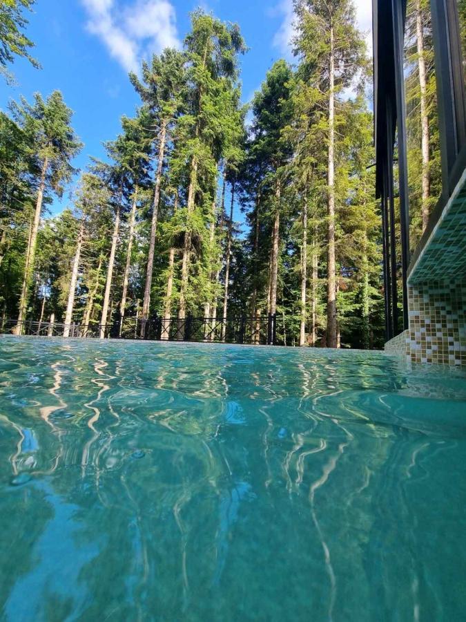 Bijele Vode Spa&Nature Hotel برييدور المظهر الخارجي الصورة